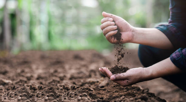 soil