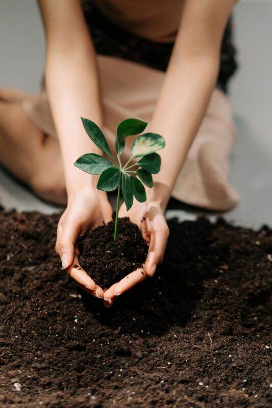 soil